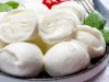 Homemade Fresh Mozzarella Cheese Recipe
